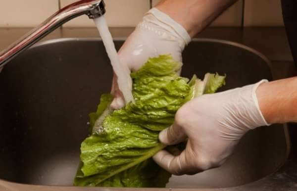 Сервировка листьев салата