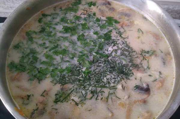 Ароматный сырный сливочный суп с грибами и курицей